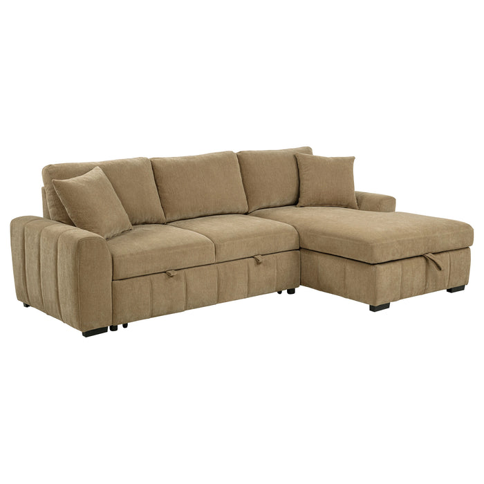 Pastrana Pull-Out Sleeper Sectional Sofa