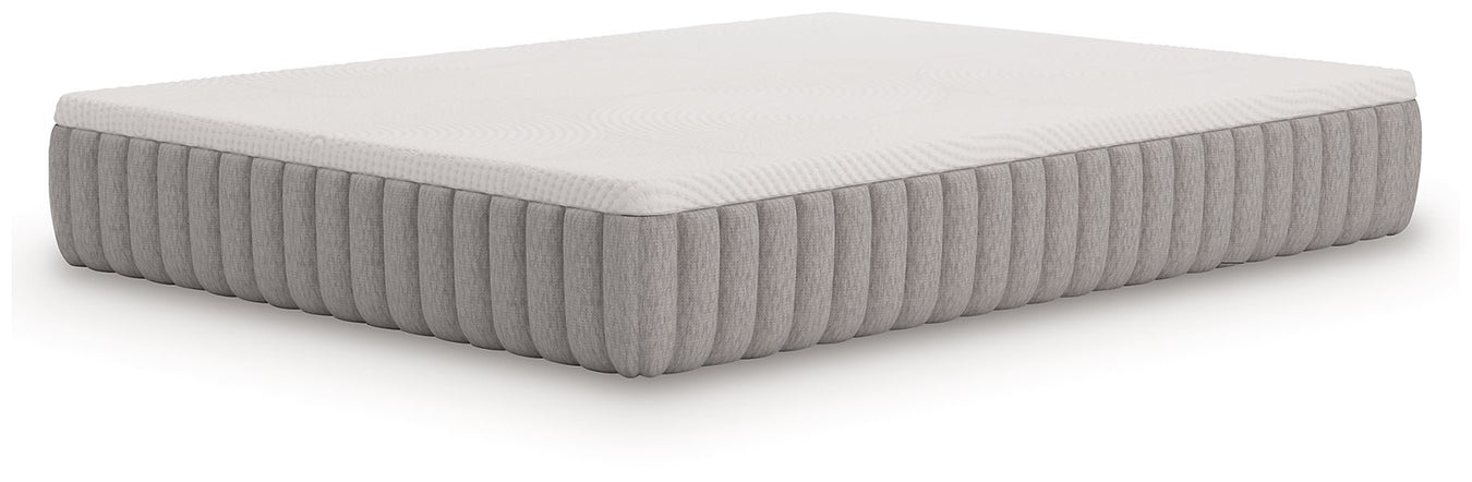 Terra Sleep Medium