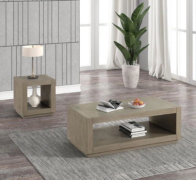 Dothan End Table